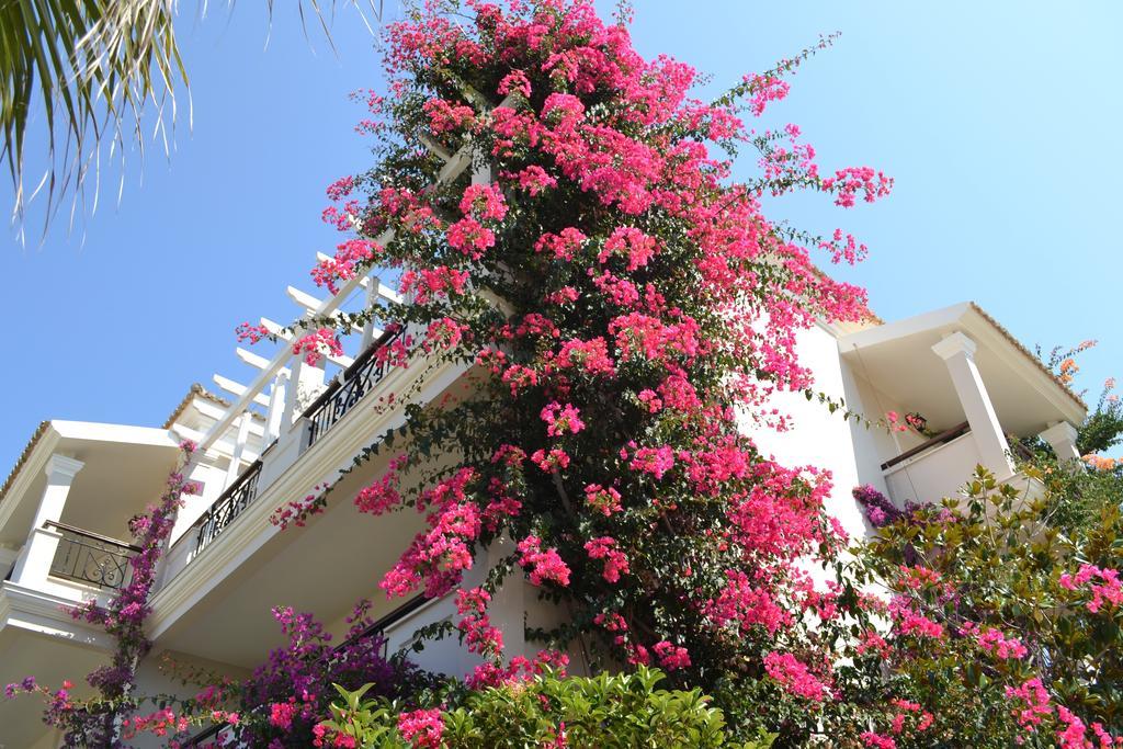 Delfino Blu Wellness Boutique Hotel Agios Stefanos Avliotes  Exteriér fotografie